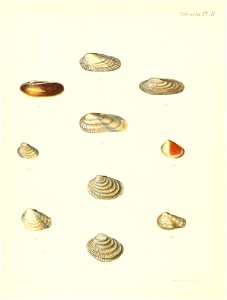 n681_w1150