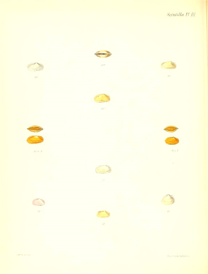 n399_w1150