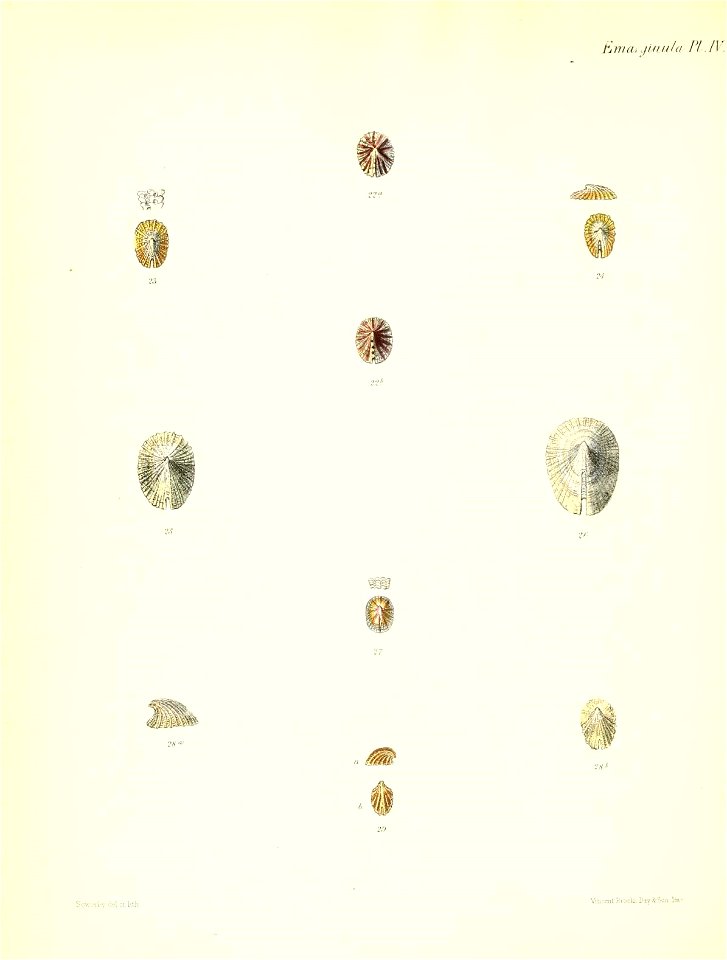 n307_w1150