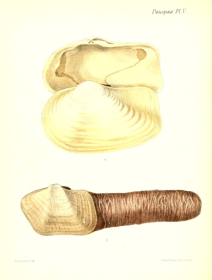 n169_w1150