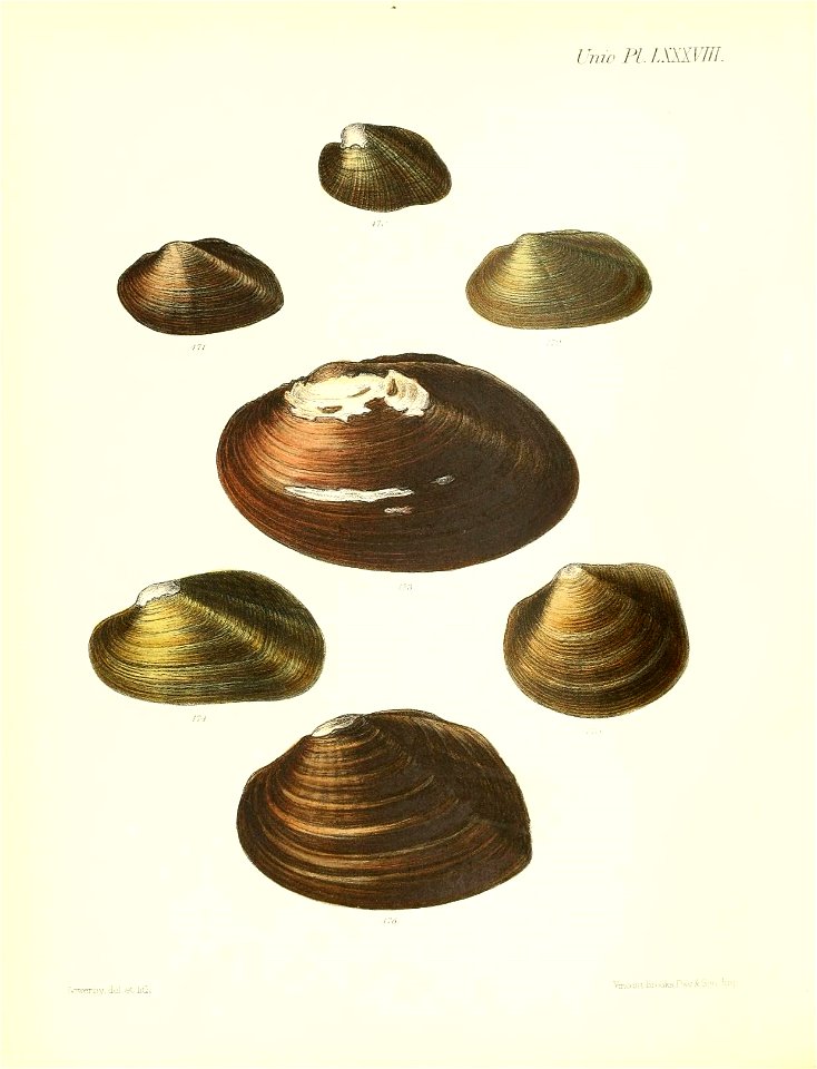 n359_w1150