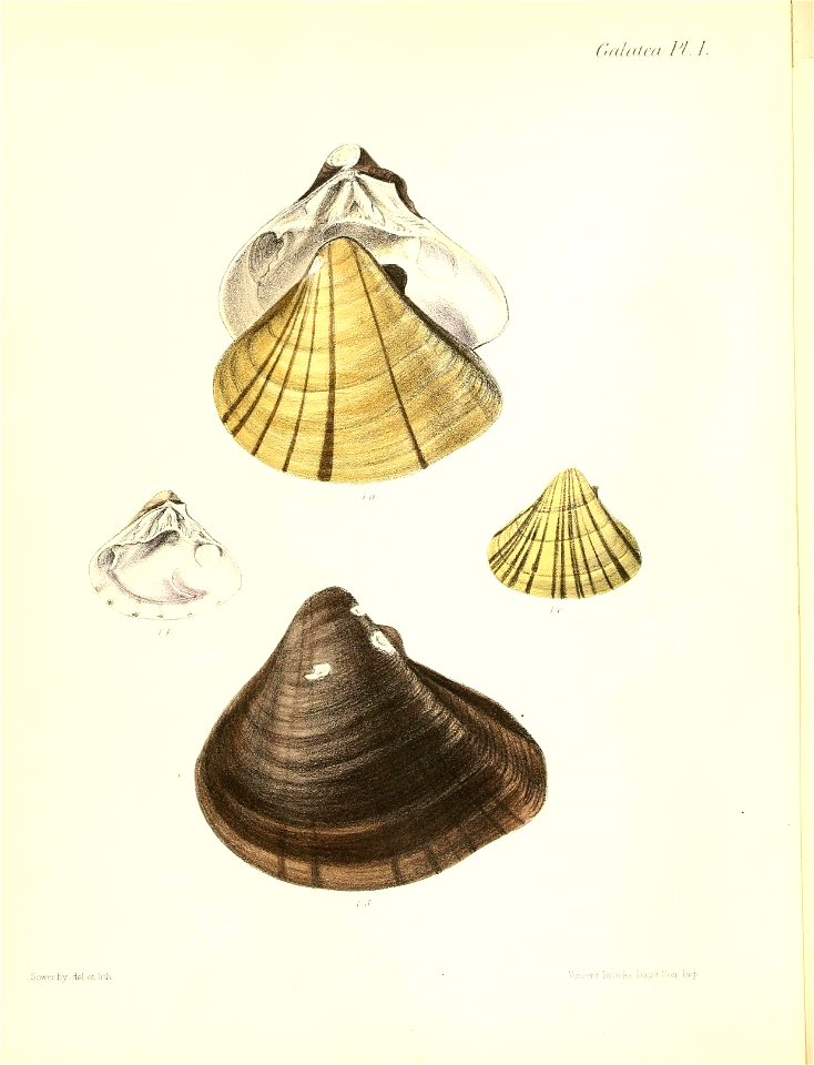 n507_w1150