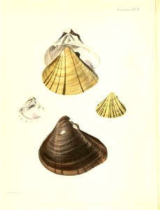 n507_w1150