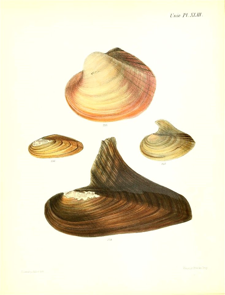 n179_w1150