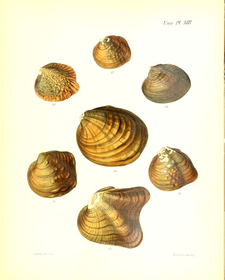 n59_w1150