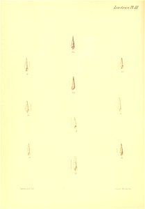 n539_w1150