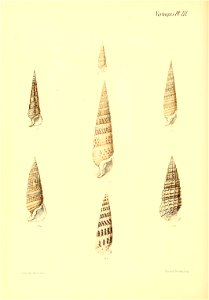 n461_w1150