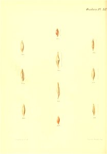 n259_w1150
