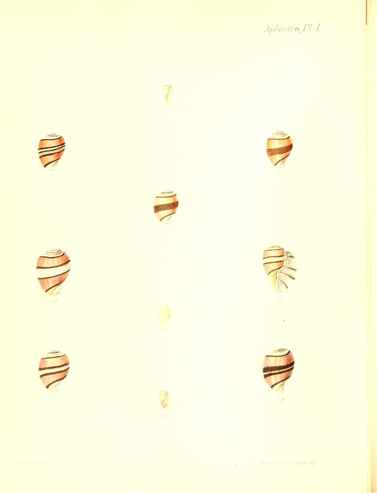 n501_w1150