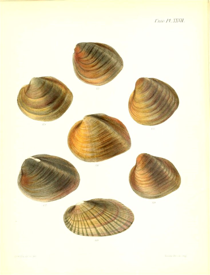 n115_w1150