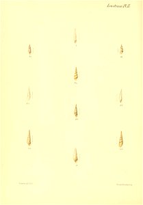 n535_w1150