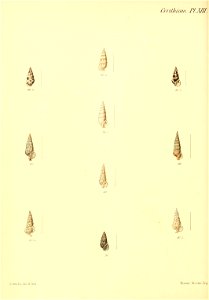 n389_w1150