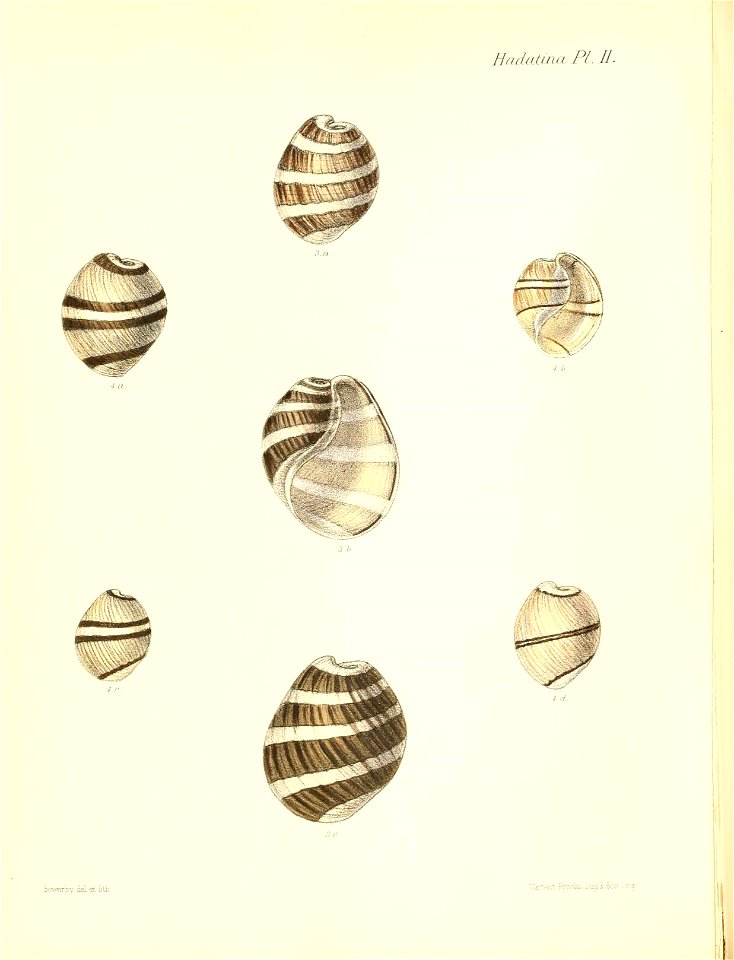 n497_w1150