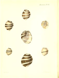 n497_w1150