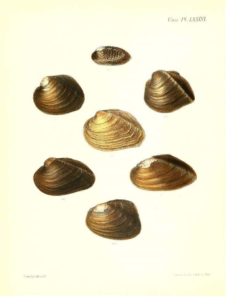 n351_w1150