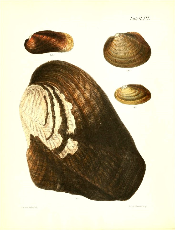 n231_w1150