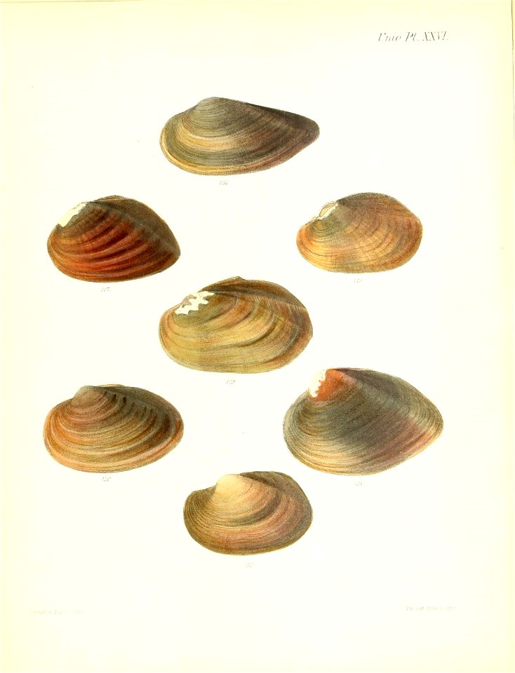 n111_w1150