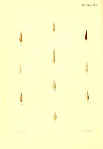 n531_w1150