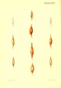 n251_w1150
