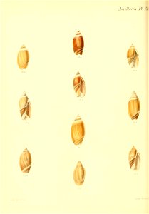 n187_w1150