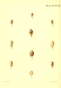n123_w1150
