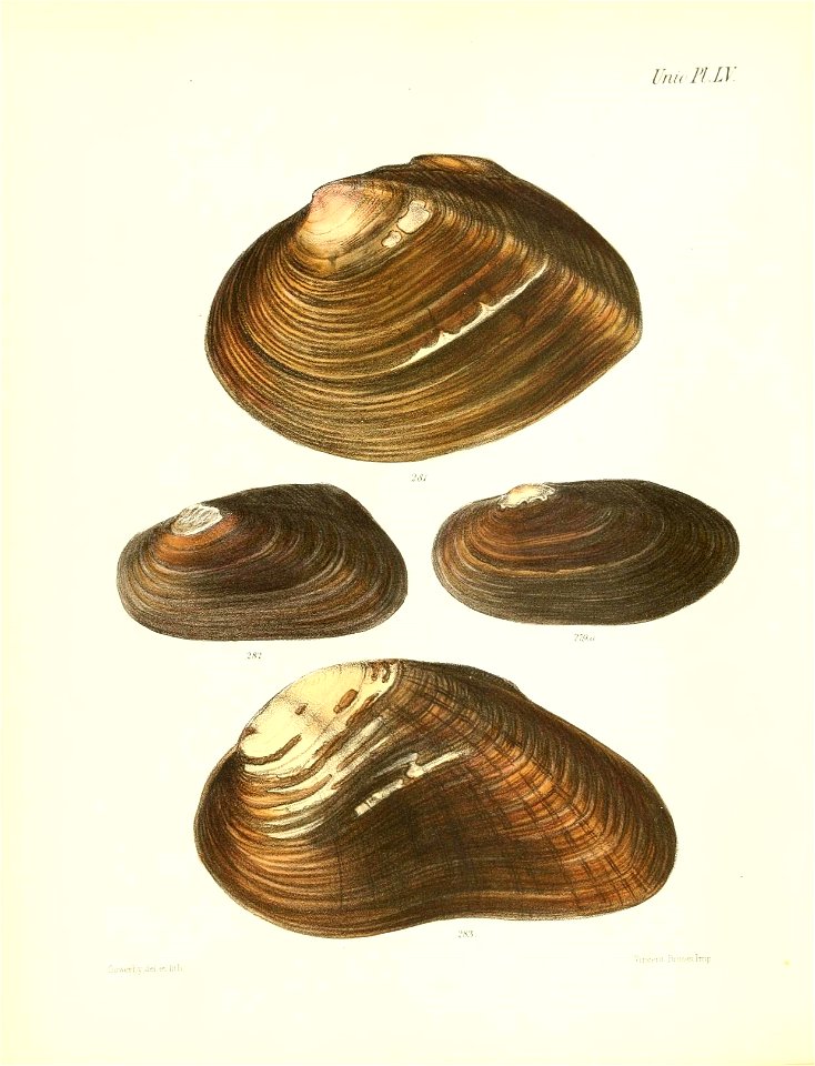 n227_w1150
