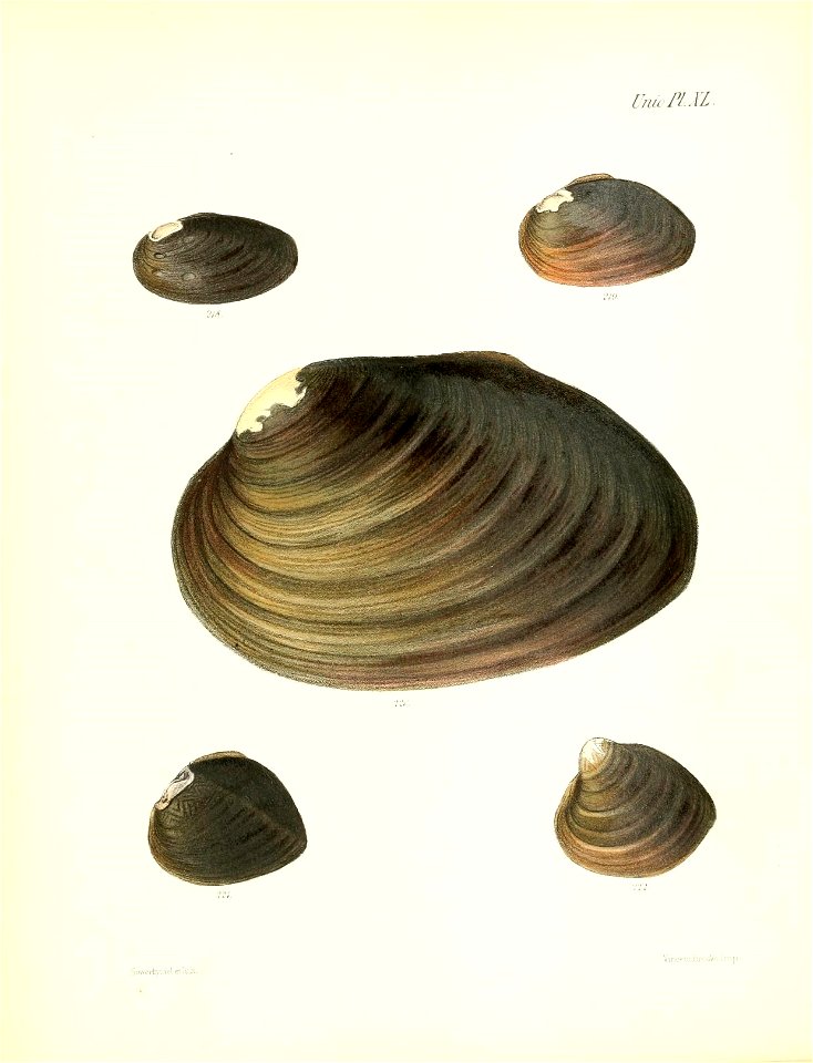 n167_w1150