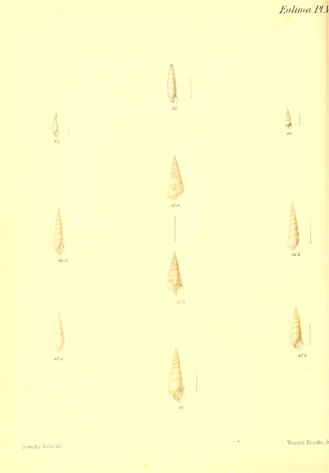 n445_w1150