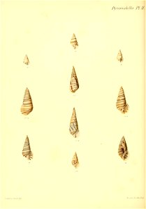 n317_w1150