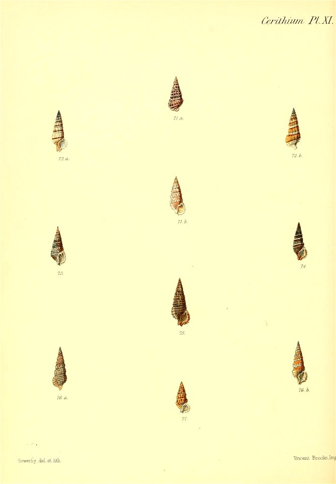 n381_w1150