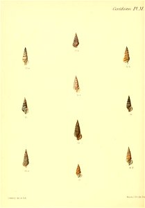 n381_w1150