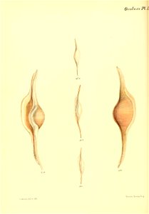 n247_w1150