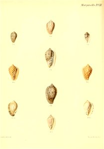 n59_w1150