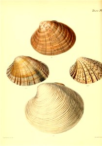 n481_w1150