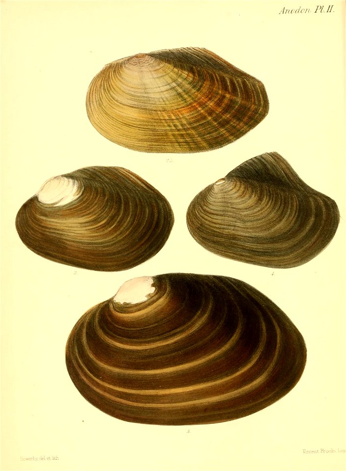 n15_w1150
