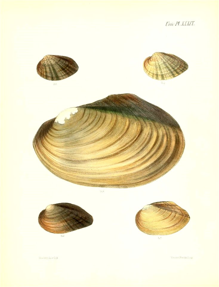 n163_w1150