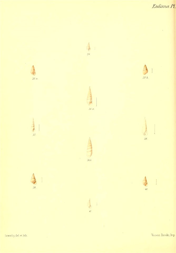 n441_w1150
