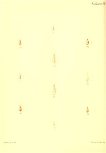 n441_w1150