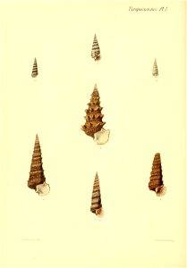 n521_w1150