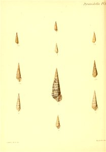 n313_w1150