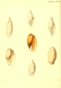 n179_w1150
