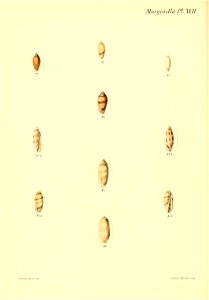 n115_w1150