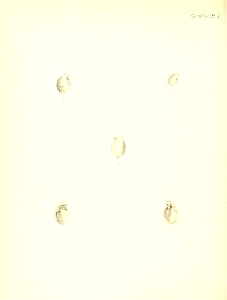 n353_w1150