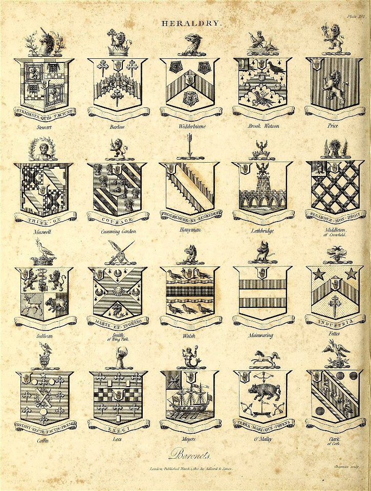 n999_w1150