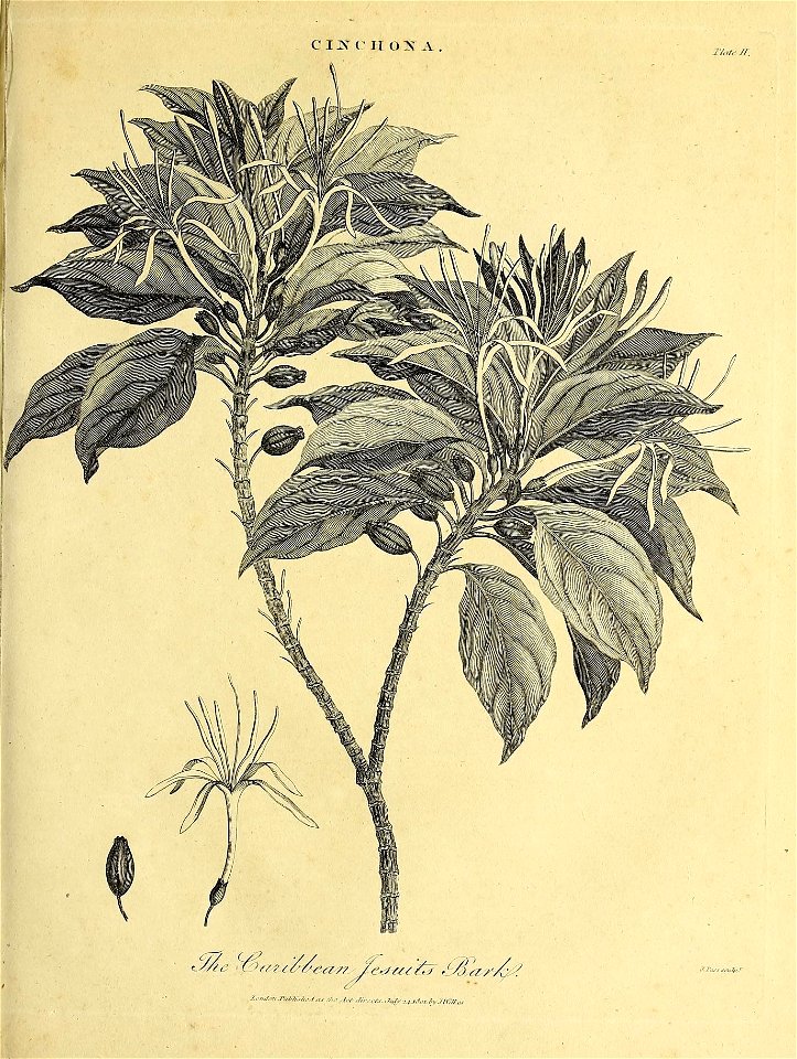 n682_w1150