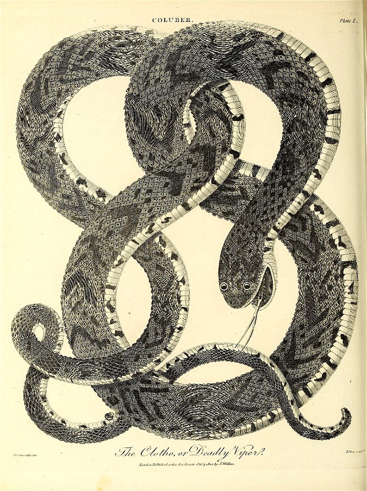 n905_w1150