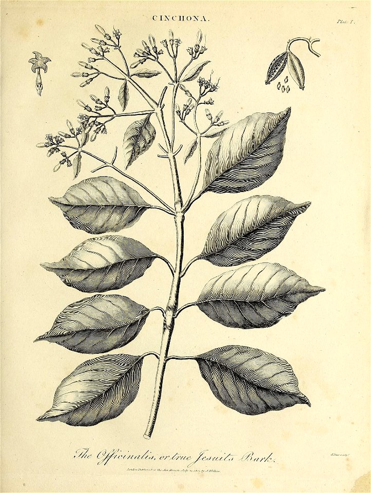 n678_w1150