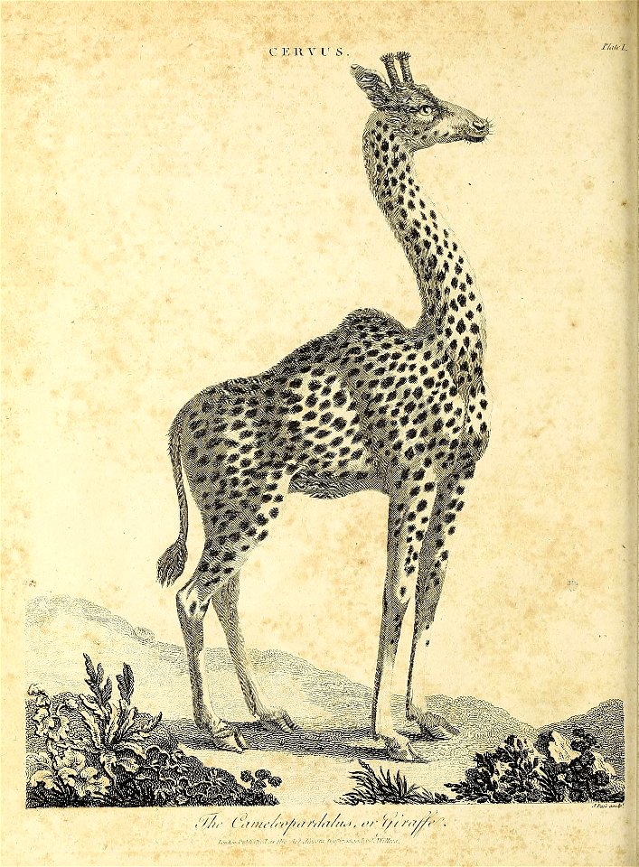 n69_w1150