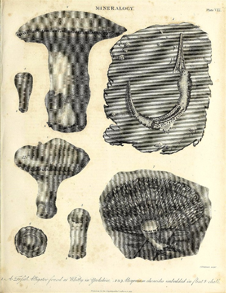 n616_w1150