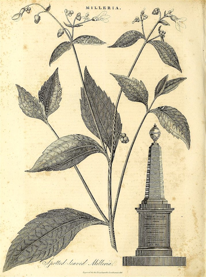 n457_w1150